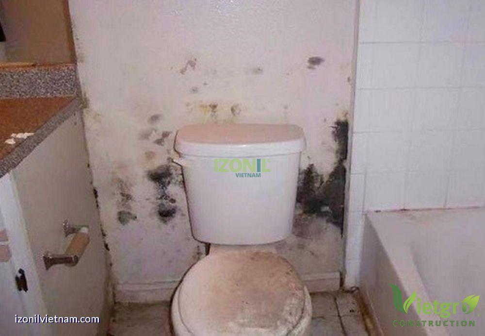 chống thấm nhà vệ sinh bị thấm ẩm mốc
